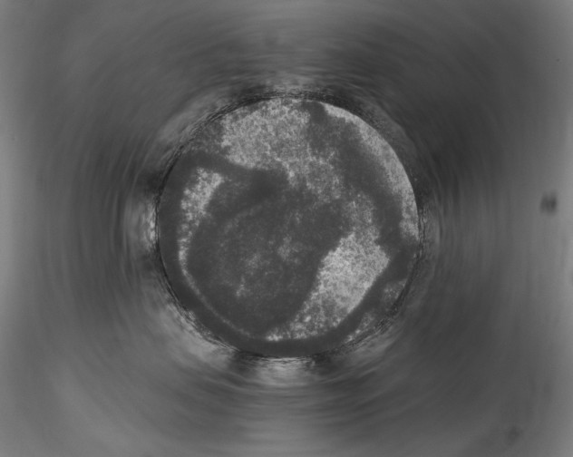 X0000114410479200911271530