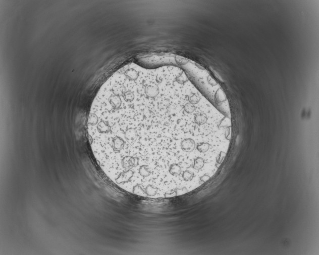 X0000114410480200911271530