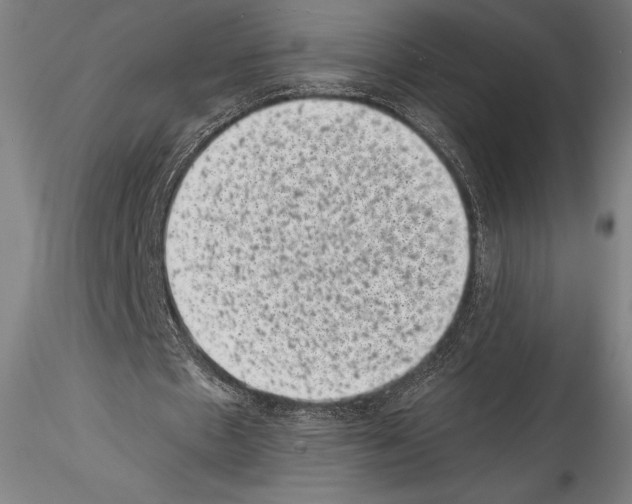 X0000114410481200911271530