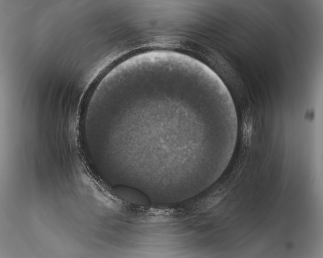 X0000114410484200911271529