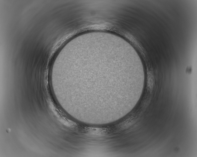 X0000114410486200911271529