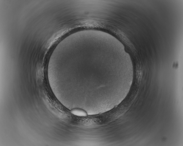 X0000114410488200911271529