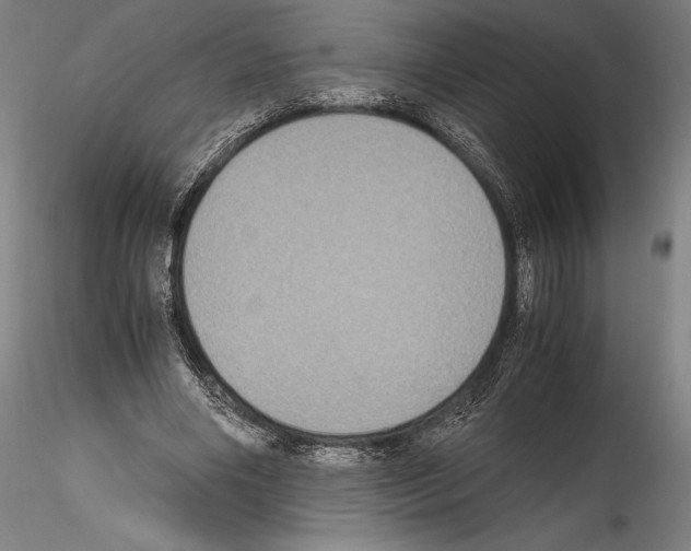 X0000114410490200911271529