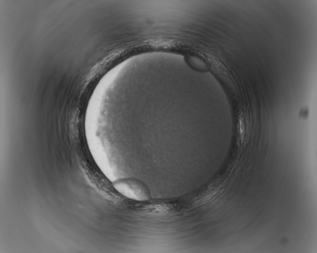 X0000114410492200911271529