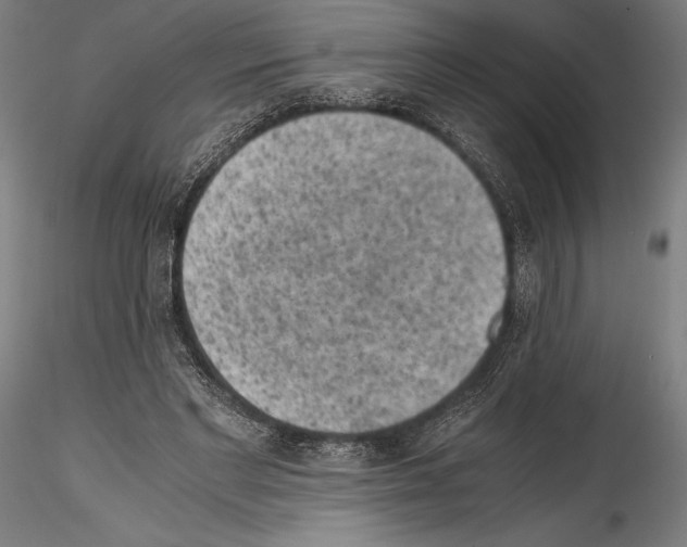 X0000114410493200911271529