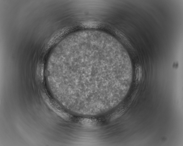 X0000114410494200911271529