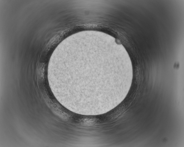 X0000114410495200911271529