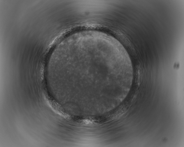 X0000114410496200911271529