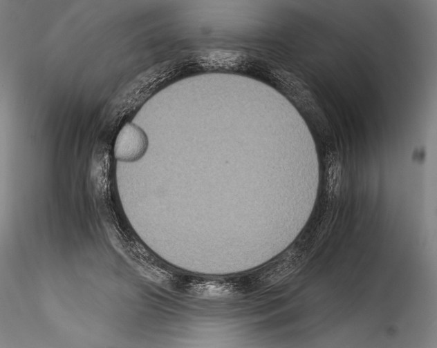 X0000114410498200911271529