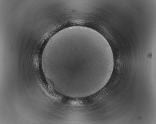 X0000114410500200911271529