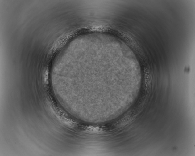 X0000114410502200911271529