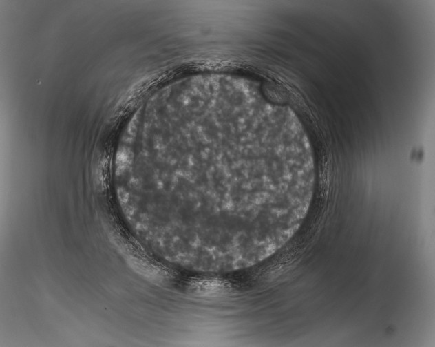 X0000114410503200911271529