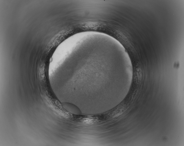 X0000114410504200911271529