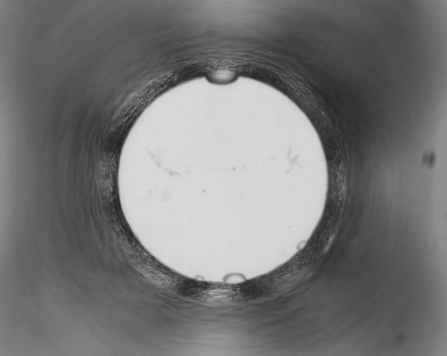 X0000114410505200911271529