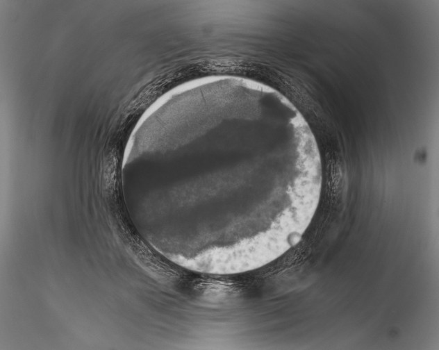 X0000114410507200911271529