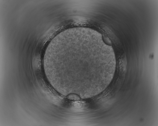 X0000114410508200911271529