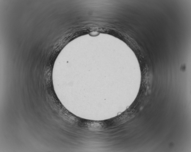 X0000114410513200911271529