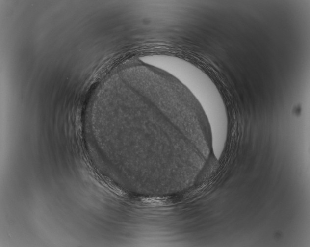 X0000114410516200911271529