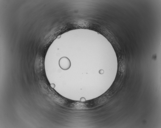 X0000114410518200911271529