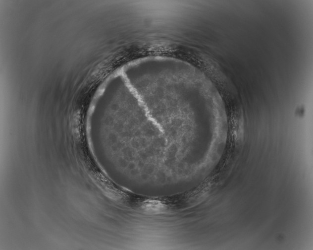 X0000114410519200911271529