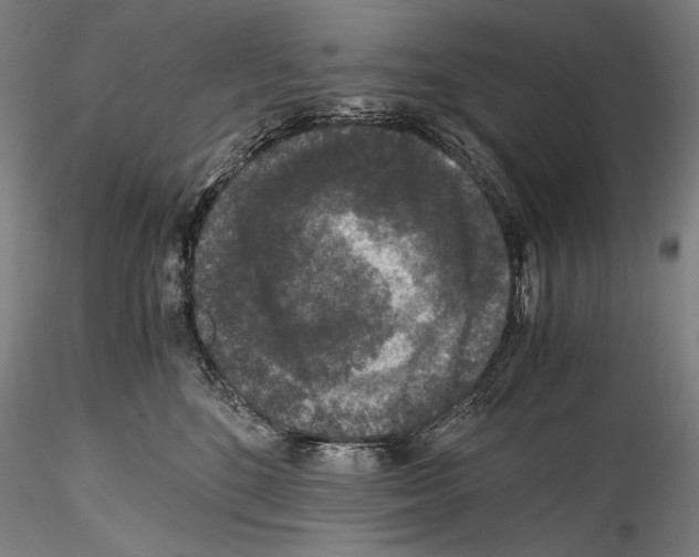 X0000114410520200911271529