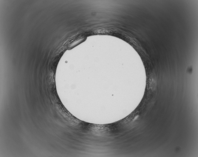 X0000114410521200911271529