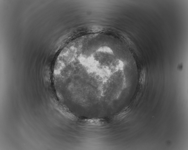 X0000114410524200911271529