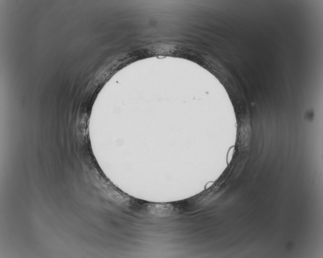 X0000114410525200911271529