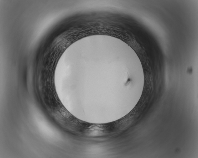 X0000114410526200911271529