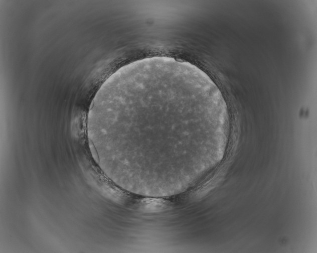 X0000114410528200911271529