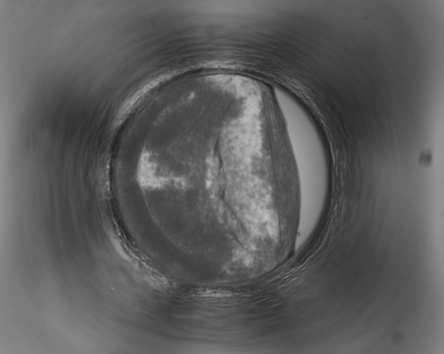 X0000114410531200911271528