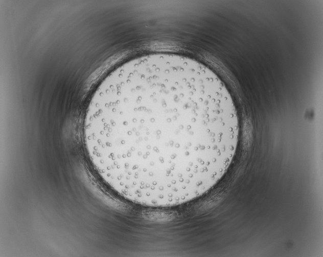 X0000114410533200911271528