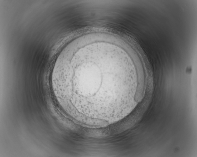 X0000114410534200911271528