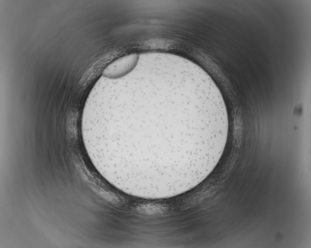 X0000114410537200911271528