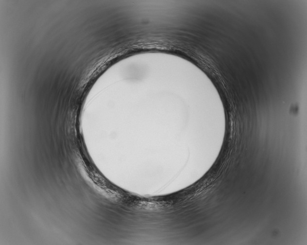 X0000114410538200911271528