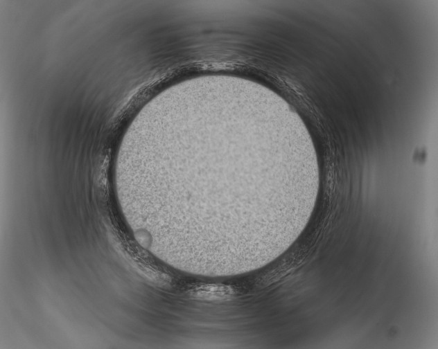 X0000114410543200911271528