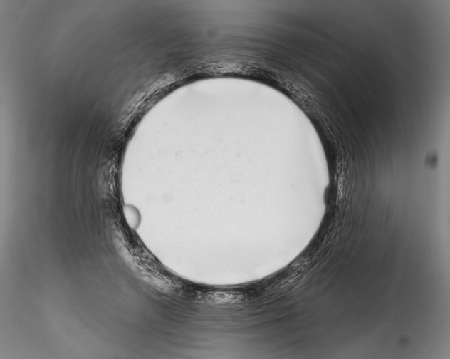 X0000114410546200911271528