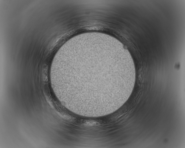 X0000114410547200911271528