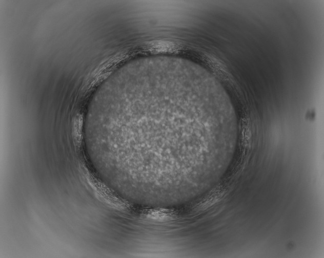 X0000114410550200911271528