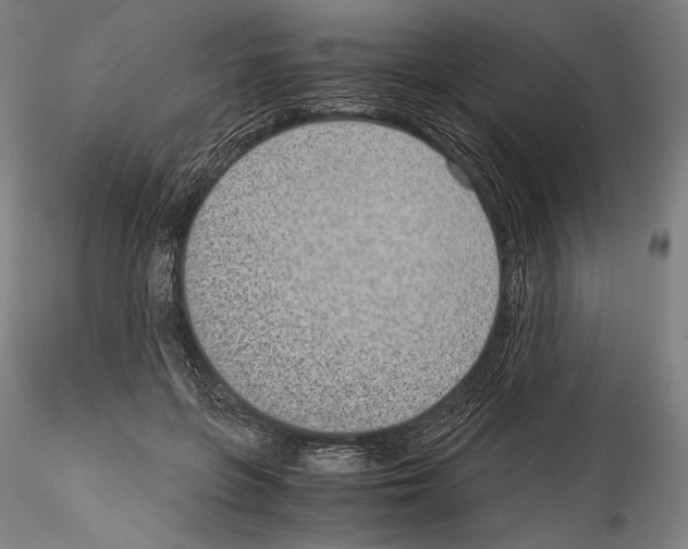 X0000114410551200911271528