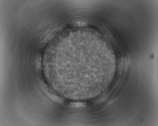 X0000114410553200911271528