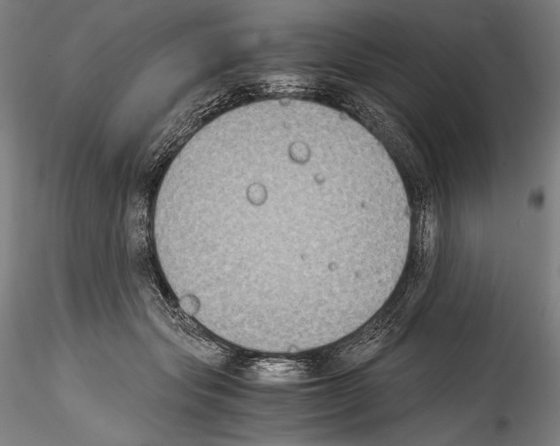 X0000114410557200911271529