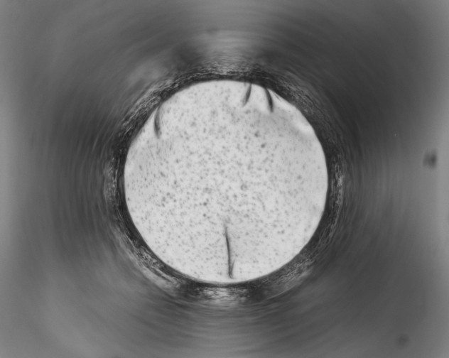 X0000114410558200911271529