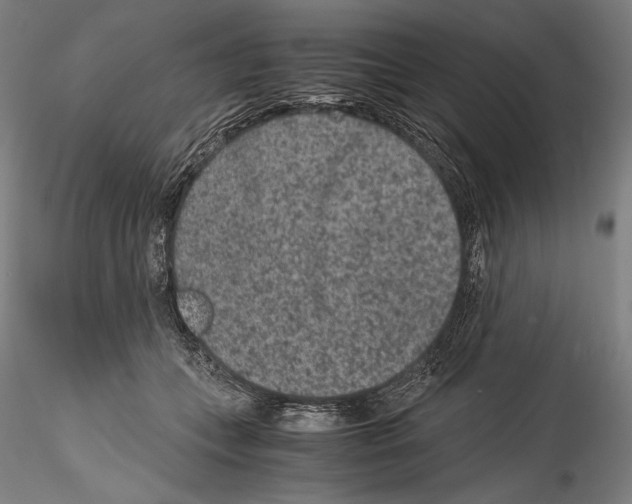 X0000114410559200911271529