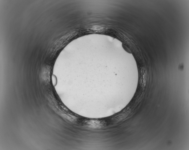 X0000114410562200911271529