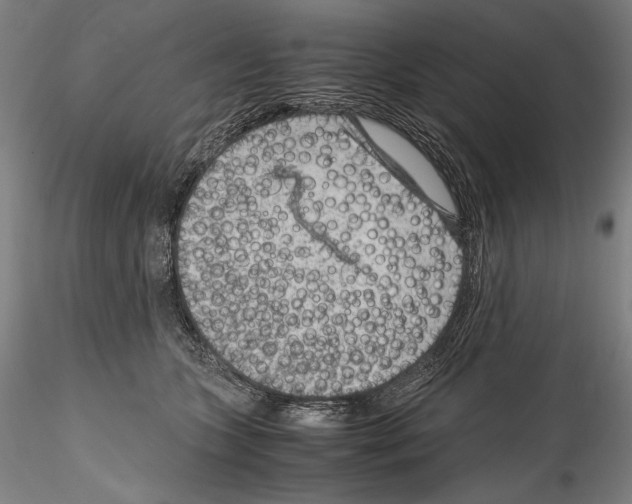 X0000114410563200911271529