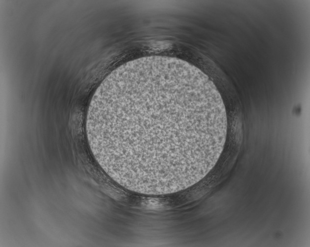 X0000114410565200911271529