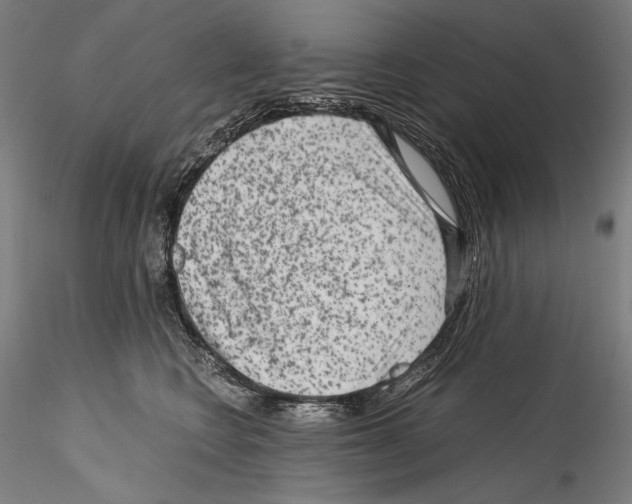 X0000114410566200911271529