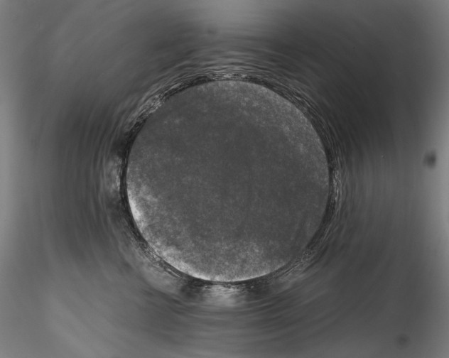 X0000114410570200911271529