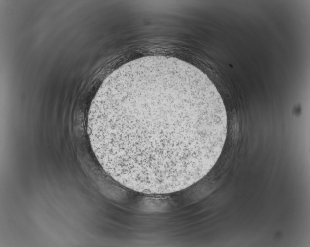 X0000114410571200911271529